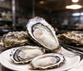 Fresh Oysters