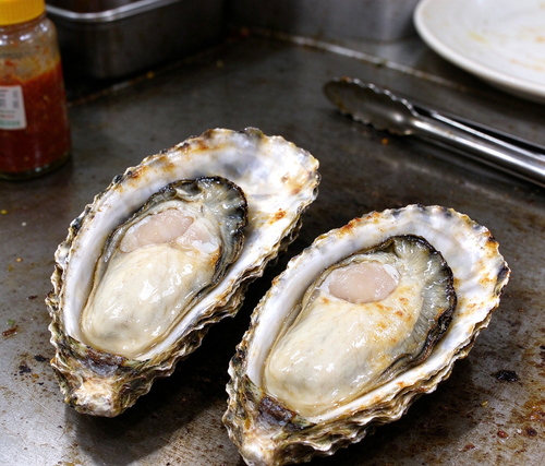 Fresh Oysters