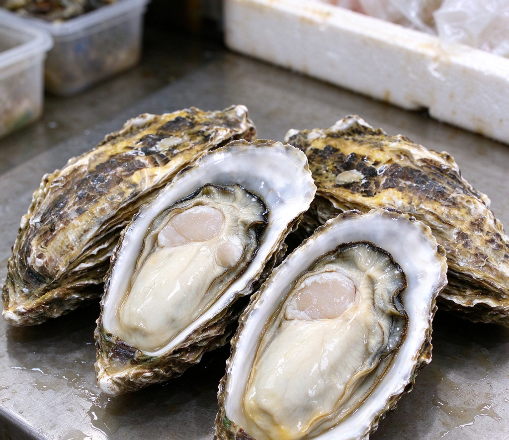 Fresh Oysters